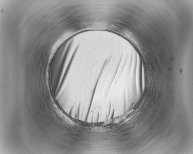 X0000059091480200511041834