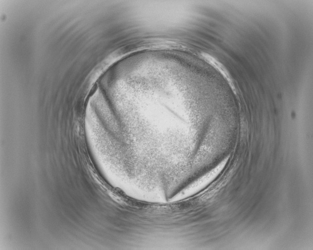X0000059091481200511041834