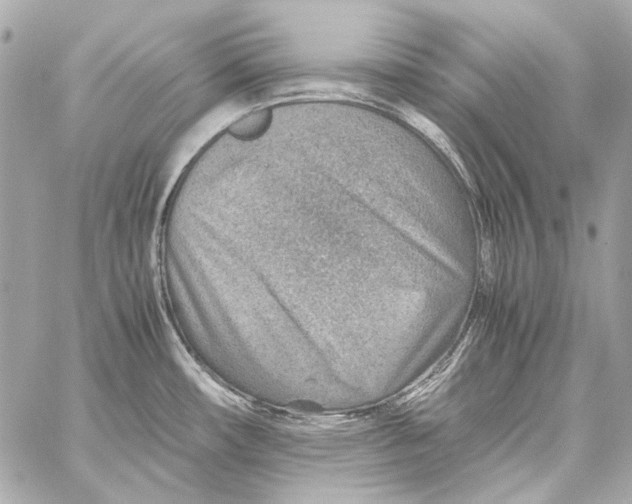 X0000059091482200511041834