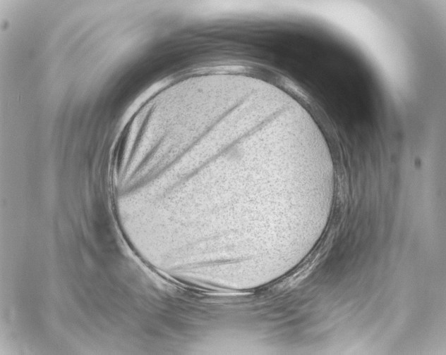 X0000059091487200511041834