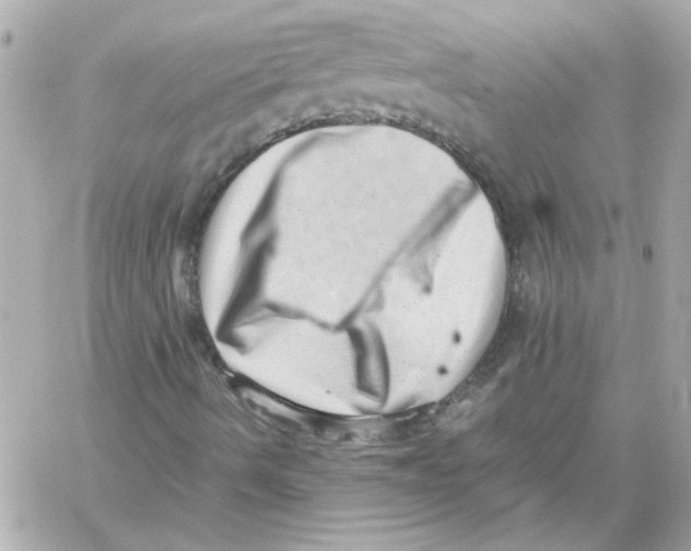 X0000059091490200511041833