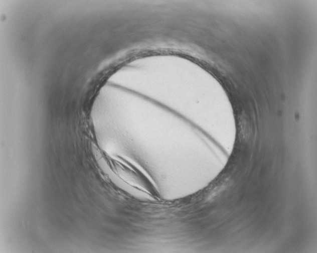 X0000059091494200511041833