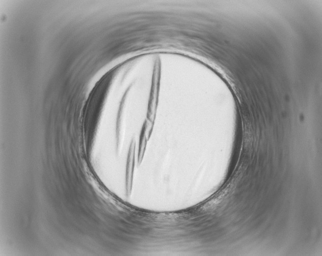 X0000059091534200511041834