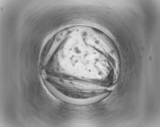 X0000059091536200511041834