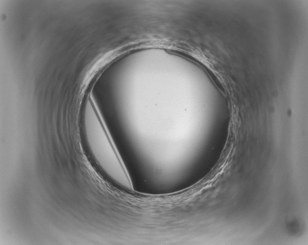 X0000059100007200510070956