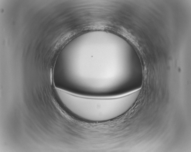 X0000059100013200510070956