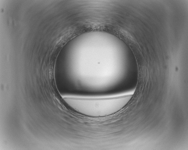X0000059100039200510070956
