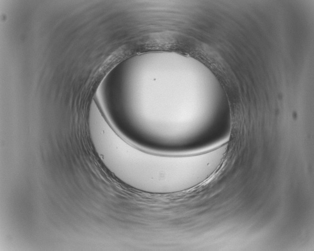 X0000059100045200510070956
