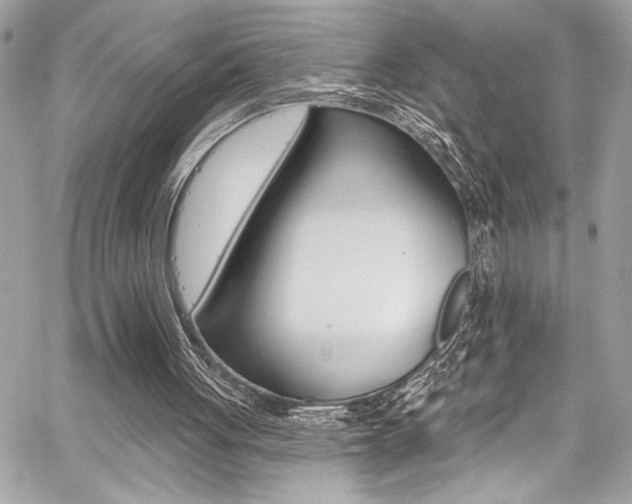X0000059100051200510070955