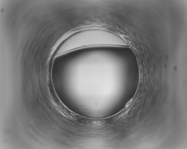 X0000059100056200510070955