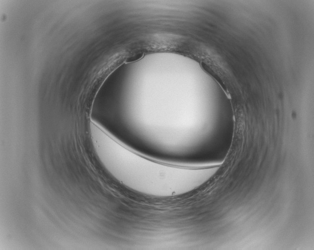 X0000059100076200510070955