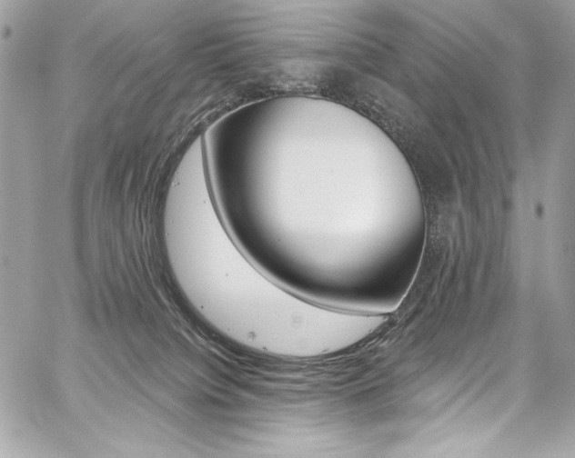 X0000059100084200510070955