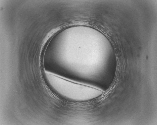 X0000059100104200510070955