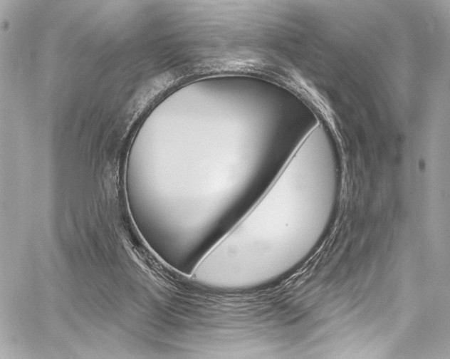 X0000059100107200510070955