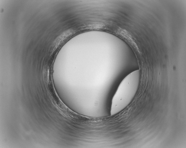 X0000059100110200510070955