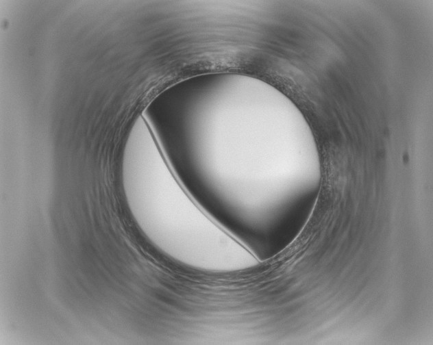 X0000059100123200510070954