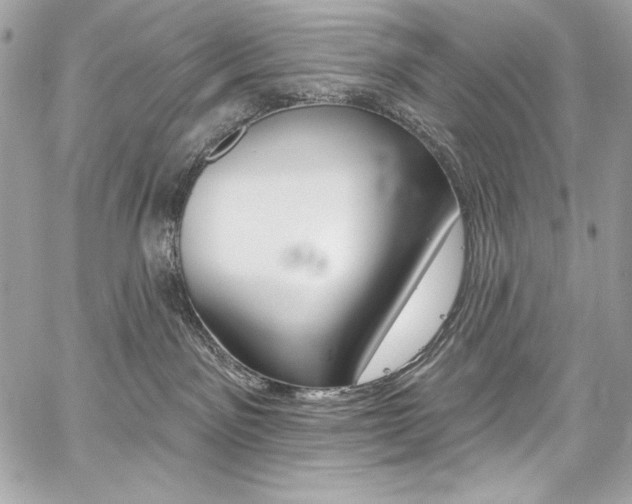 X0000059100141200510070954