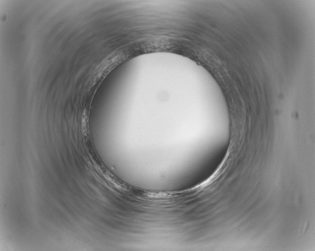 X0000059100144200510070954
