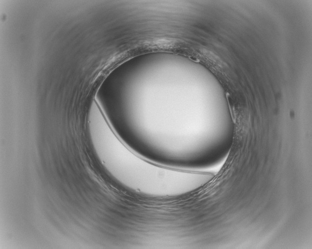 X0000059100168200510070954