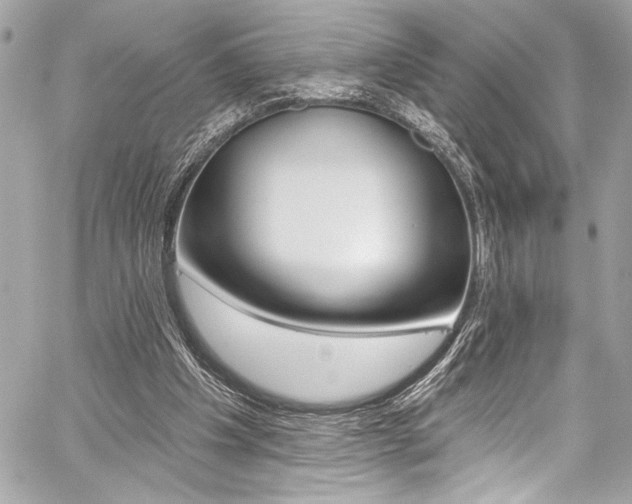 X0000059100201200510070953