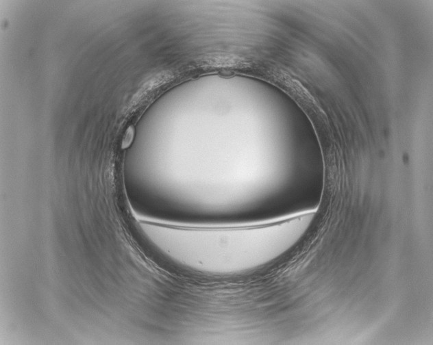X0000059100207200510070953