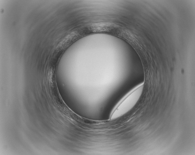 X0000059100219200510070953