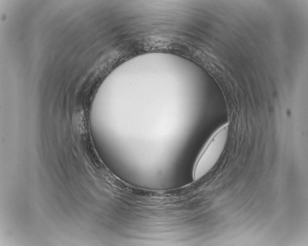 X0000059100224200510070953