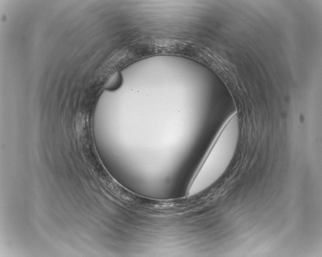 X0000059100225200510070953