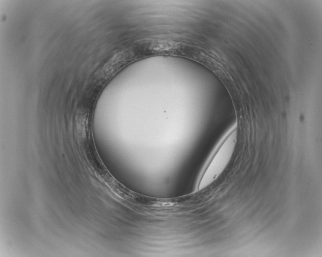 X0000059100227200510070953