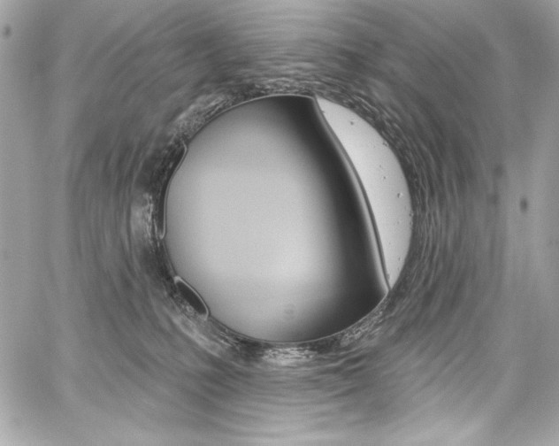 X0000059100231200510070953