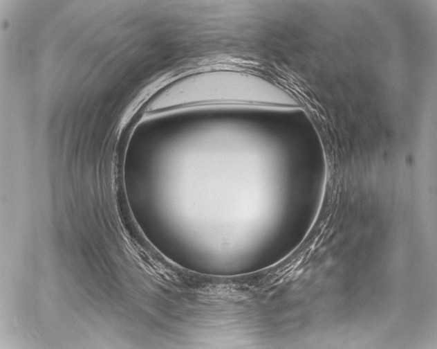 X0000059100244200510070952