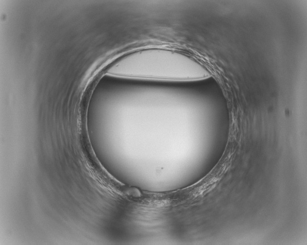 X0000059100247200510070952
