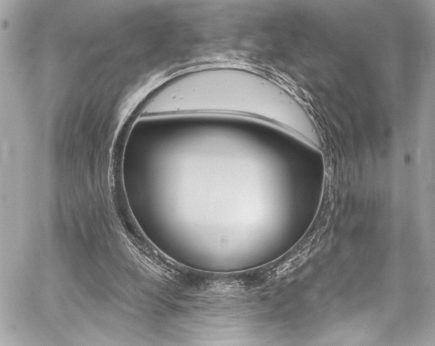 X0000059100248200510070952