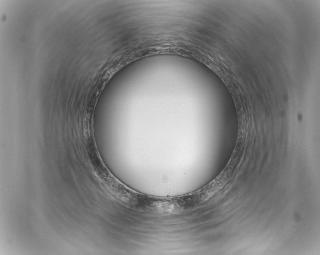X0000059100272200510070952