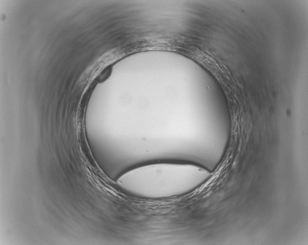 X0000059100290200510070952