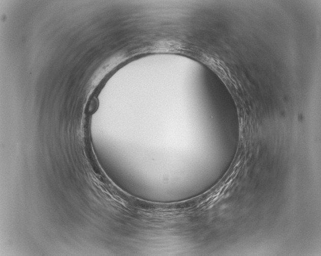 X0000059100292200510070952