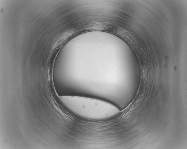X0000059100302200510070951