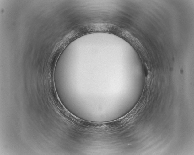 X0000059100306200510070951