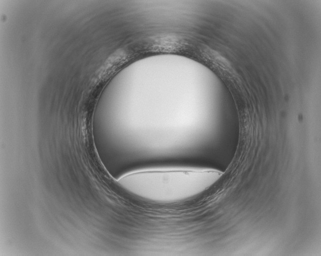 X0000059100312200510070951