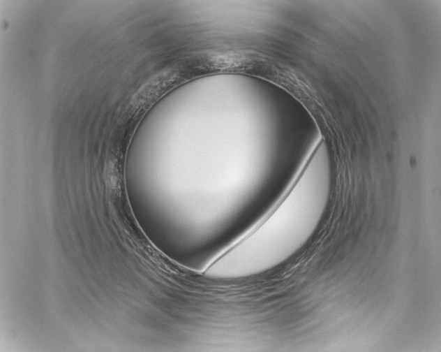 X0000059100317200510070951