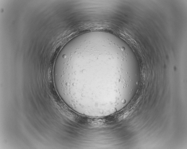 X0000059100359200510070950
