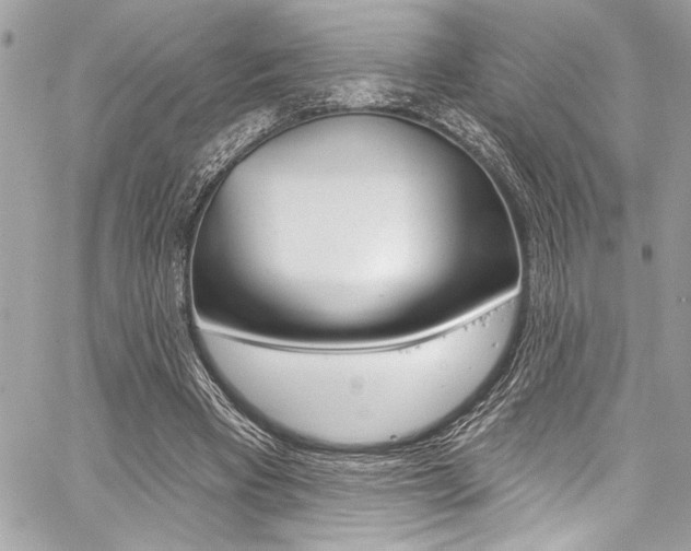 X0000059100393200510070950