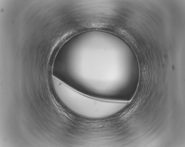 X0000059100395200510070950
