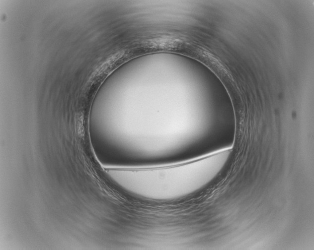X0000059100403200510070950
