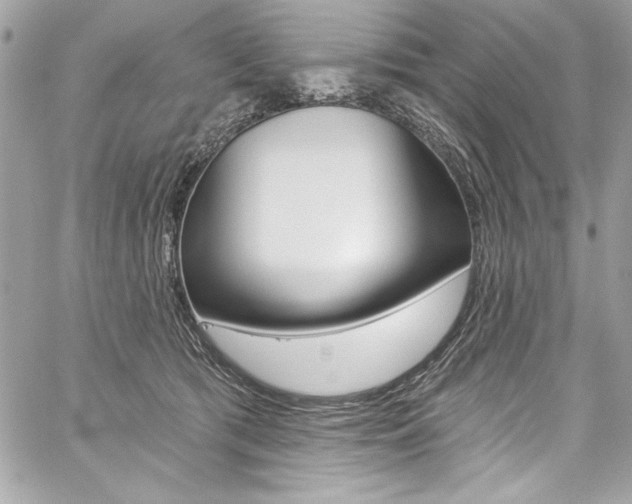 X0000059100417200510070949