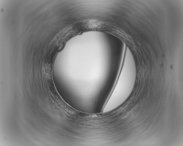 X0000059100421200510070949