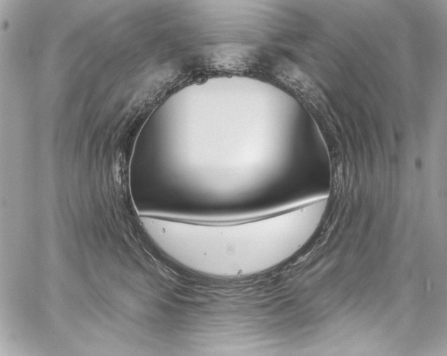X0000059100424200510070949
