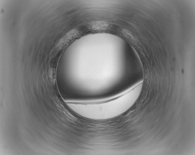 X0000059100428200510070949
