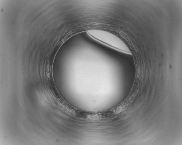 X0000059100470200510070949
