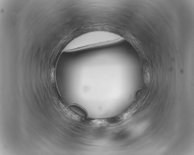 X0000059100477200510070949